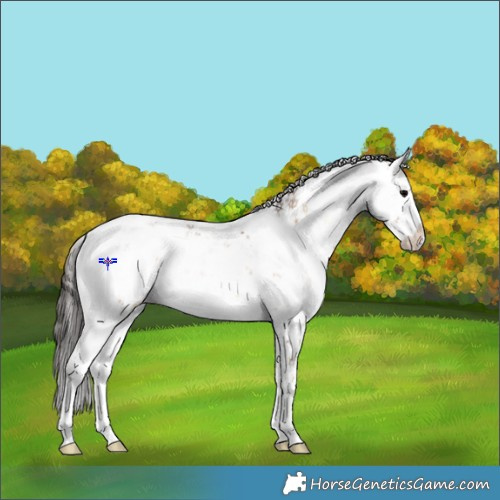Horse Color:Bay Ice Onyx Sabino Rabicano 