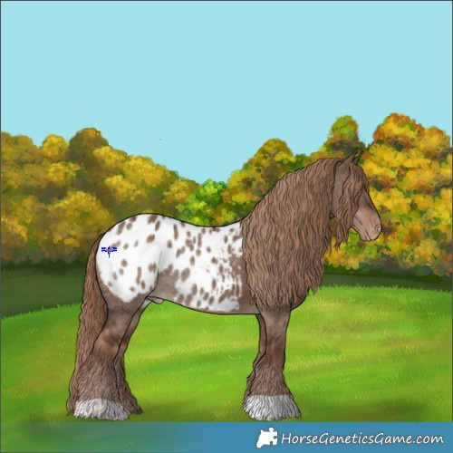 Horse Color:Liver Red Dun Appaloosa Rabicano Brindle 