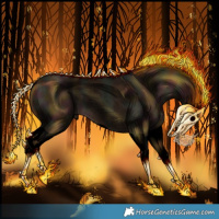 Horse Color:Void Midnight Sable Champagne Splash Rabicano 