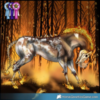 Horse Color:Bay Onyx Tobiano Appaloosa Rabicano 