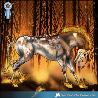 Horse Color:Bay Onyx Tobiano Appaloosa Rabicano