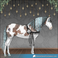 Horse Color:Painted White Spotted Liver Red Roan Splash 