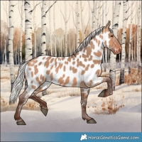 Horse Color:Silver Bay Dun Near Leopard