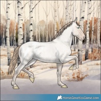 Horse Color:Smoky Creme Roan Dun Appaloosa 