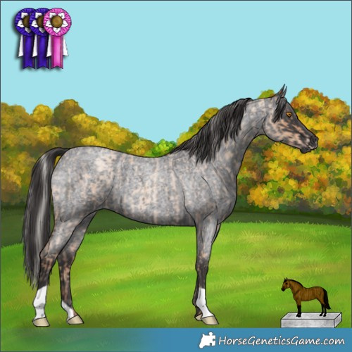 Horse Color:Silver Classic Champagne Roan and Smoky Blue Roan