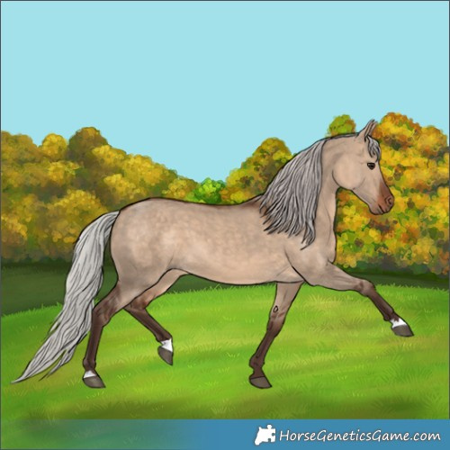 Horse Color:Silver Brown Dun 