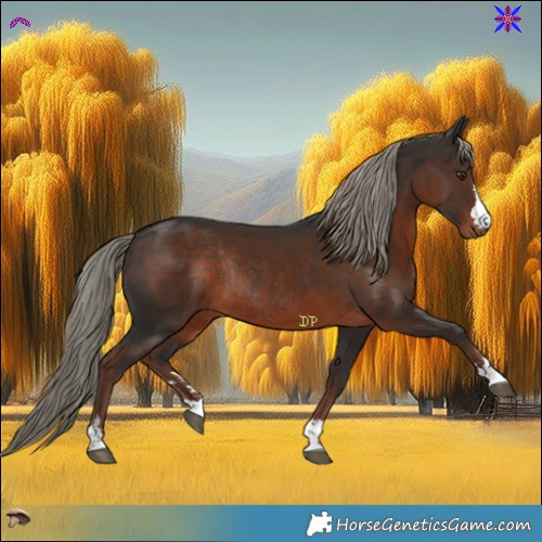 Horse Color:Liver Chestnut Rabicano