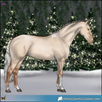 Horse Color:Silver Bay Pearl Dun Tobiano