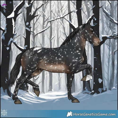 Horse Color:Brown Snowflake Varnish 