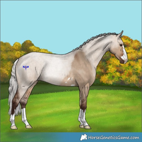 Horse Color:Silver Bay Dun Rabicano 