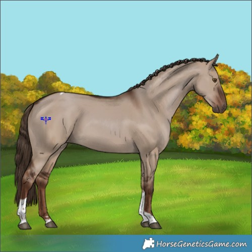 Horse Color:Liver Red Dun Tobiano 