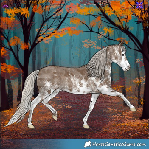 Horse Color:White Spotted Silver Smoky Black Splash 