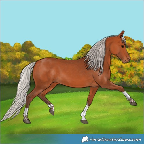 Horse Color:Silver Bay Tobiano 