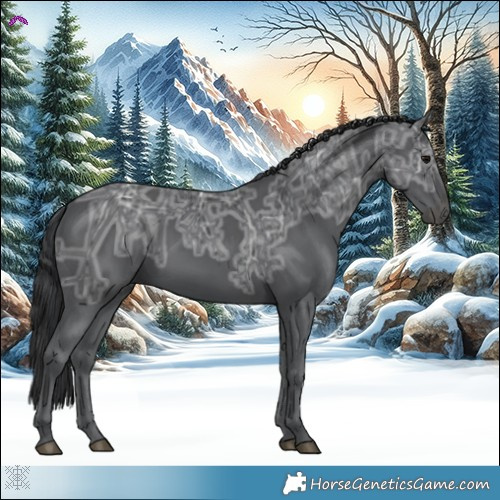 Horse Color:Black Ice 