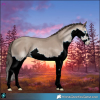Horse Color:Classic Champagne Splash