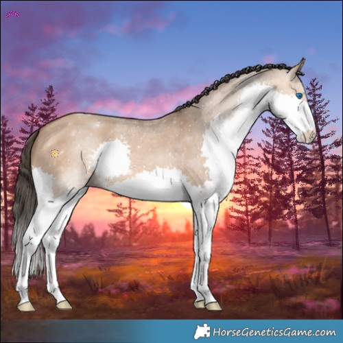 Horse Color:Bay Dun Splash 