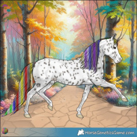 Horse Color:Painted Grullo Splash Appaloosa 
