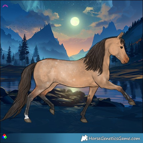 Horse Color:Bay Dun