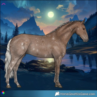 Horse Color:Silver Black 