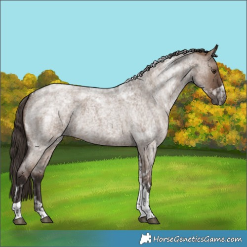 Horse Color:Liver Red Dun Roan Tobiano 