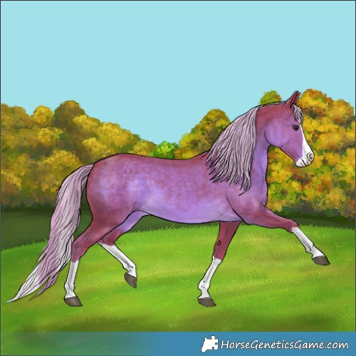 Horse Color:Watercolor Chocolate Palomino Splash 