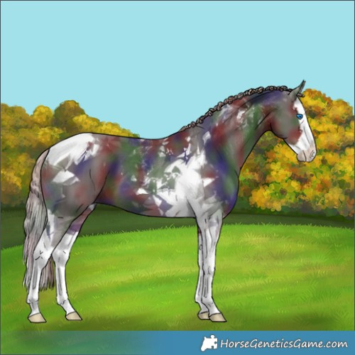 Horse Color:Nacre White Spotted Liver Chestnut Splash Tobiano 