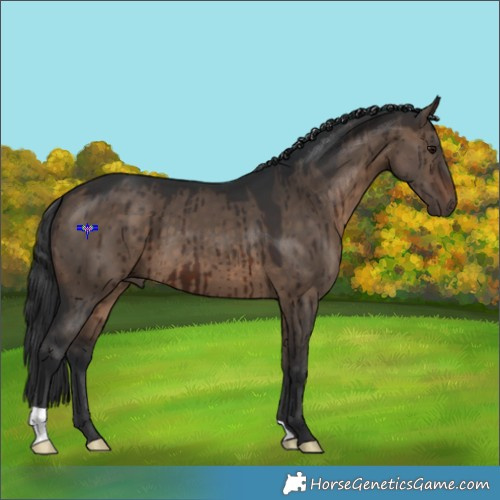 Horse Color:Brown Dun Brindle 
