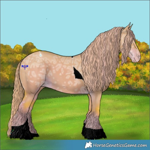 Horse Color:Watercolor Liver Red Dun Ice Tobiano Appaloosa Rabicano 