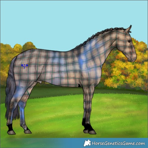 Horse Color:Plaid  Brown Dun Tobiano Varnish Rabicano 