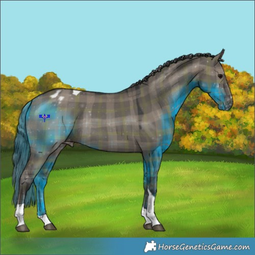 Horse Color:Plaid  Grullo Tobiano Varnish Rabicano 