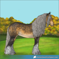 Horse Color:White Spotted Silver Buckskin 