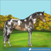 Horse Color:White Spotted Silver Smoky Black Tobiano 
