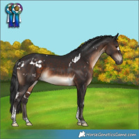 Horse Color:White Spotted Brown Tobiano Rabicano 