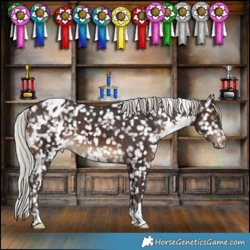 Horse Color:White Spotted Silver Brown Snowflake Varnish 
