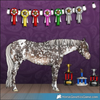 Horse Color:White Spotted Silver Brown Appaloosa