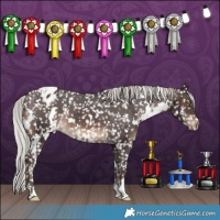 Horse Color:White Spotted Silver Brown Appaloosa 