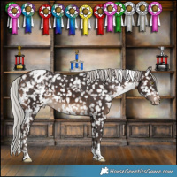 Horse Color:White Spotted Silver Brown Snowflake Varnish 