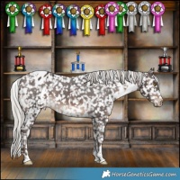 Horse Color:White Spotted Silver Brown Appaloosa 