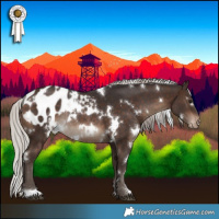 Horse Color:White Spotted Silver Brown Appaloosa Rabicano