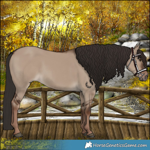 Horse Color:Liver Red Dun Rabicano 