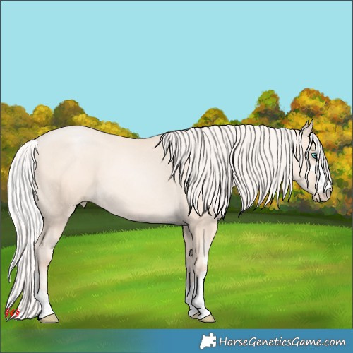 Horse Color:Silver Amber Cream Champagne Pearl 