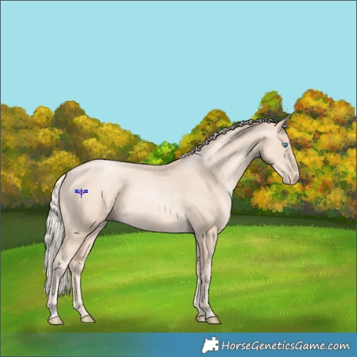 Horse Color:Gold Cream Champagne Pearl 