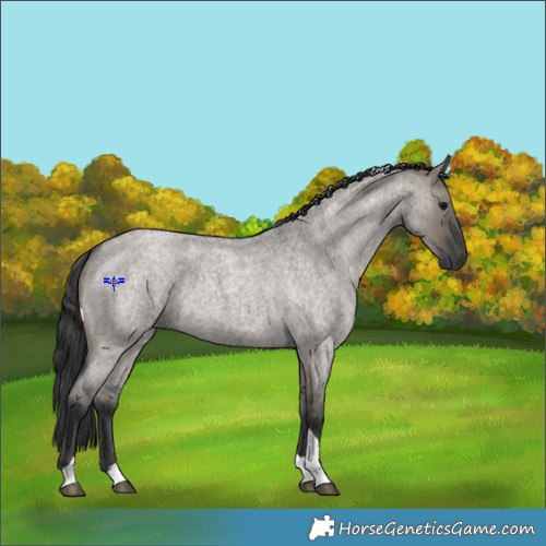 Horse Color:Grullo Roan Tobiano 