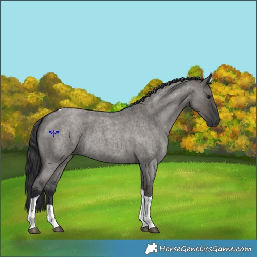 Horse Color:Grullo Roan Tobiano 