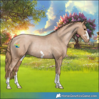 Horse Color:Black Pearl Varnish Rabicano 