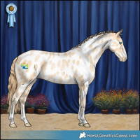 Horse Color:Buckskin Pearl Appaloosa Rabicano