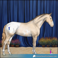 Horse Color:Smoky Black Pearl Appaloosa Rabicano 
