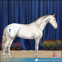 Horse Color:Smoky Black Pearl Appaloosa Rabicano 