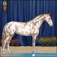 Horse Color:Chestnut Pearl Appaloosa Rabicano 