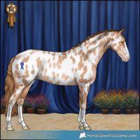 Horse Color:Chestnut Pearl Appaloosa Rabicano 